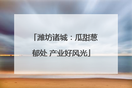 潍坊诸城：瓜甜葱郁处 产业好风光